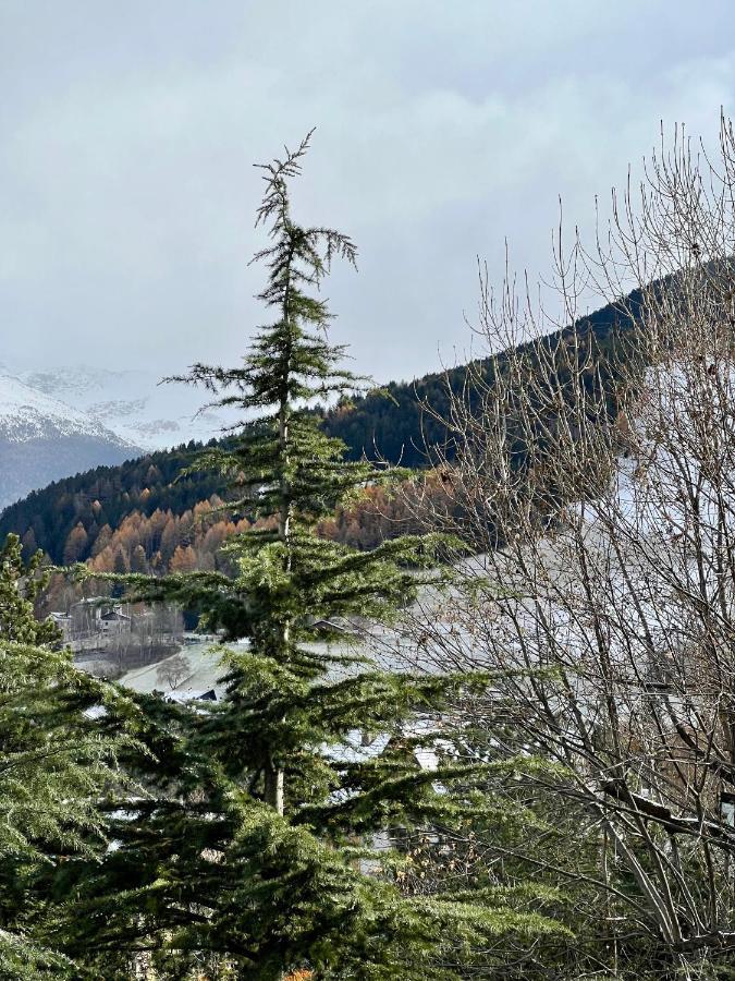 Il Pettirosso - Casa Vacanze Bormio Buitenkant foto